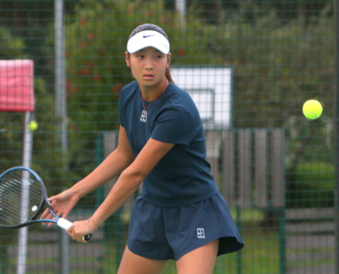 La china Xinle Geng (medios)