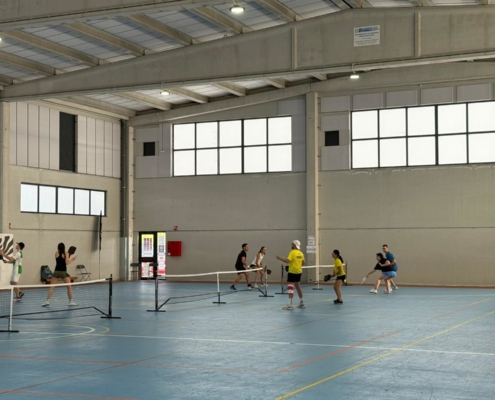 4 Proba ZCEBRA LINTEL Tour26 Pickleball (3)